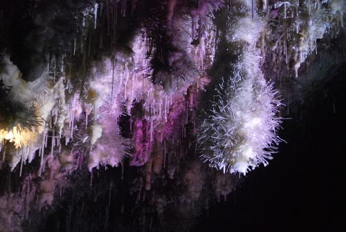 Cueva El soplao